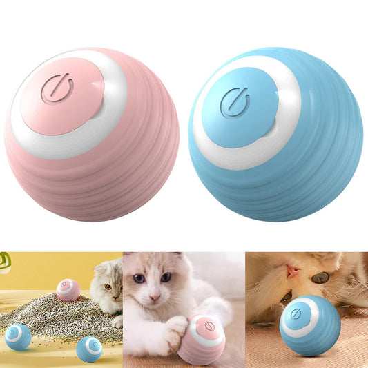 Jouet interactif intelligent pour chats